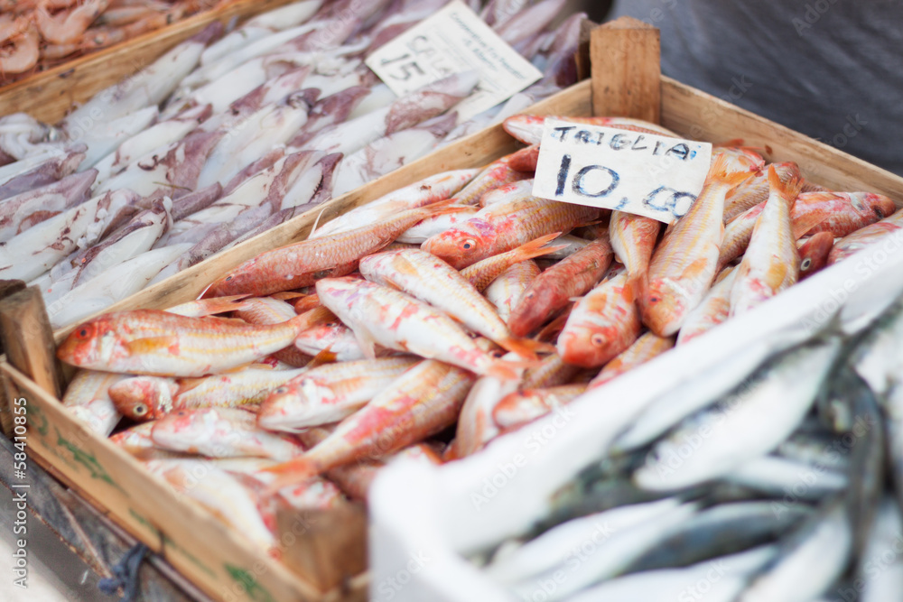 Fresh fish and calamari in the fish market