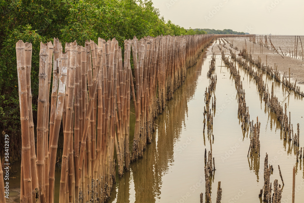 Fototapeta premium Bamboo dam