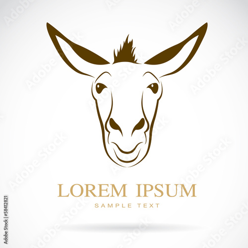 Vector image of an donkey