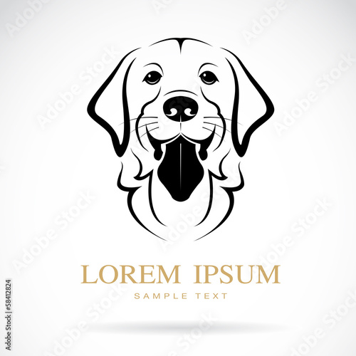 Vector image of an dog (golden retriever)