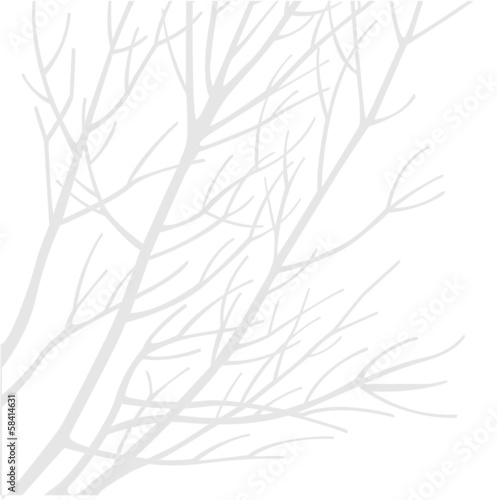 äste in grau