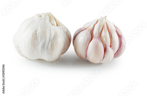 Head of garlic isolated on white background with shadow