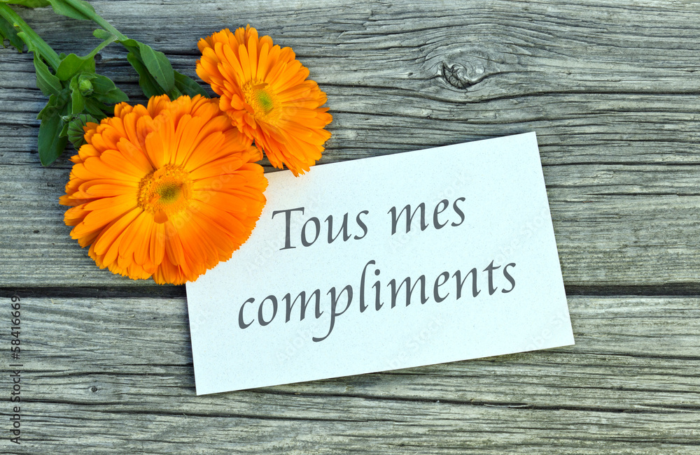 Naklejka premium congratulations