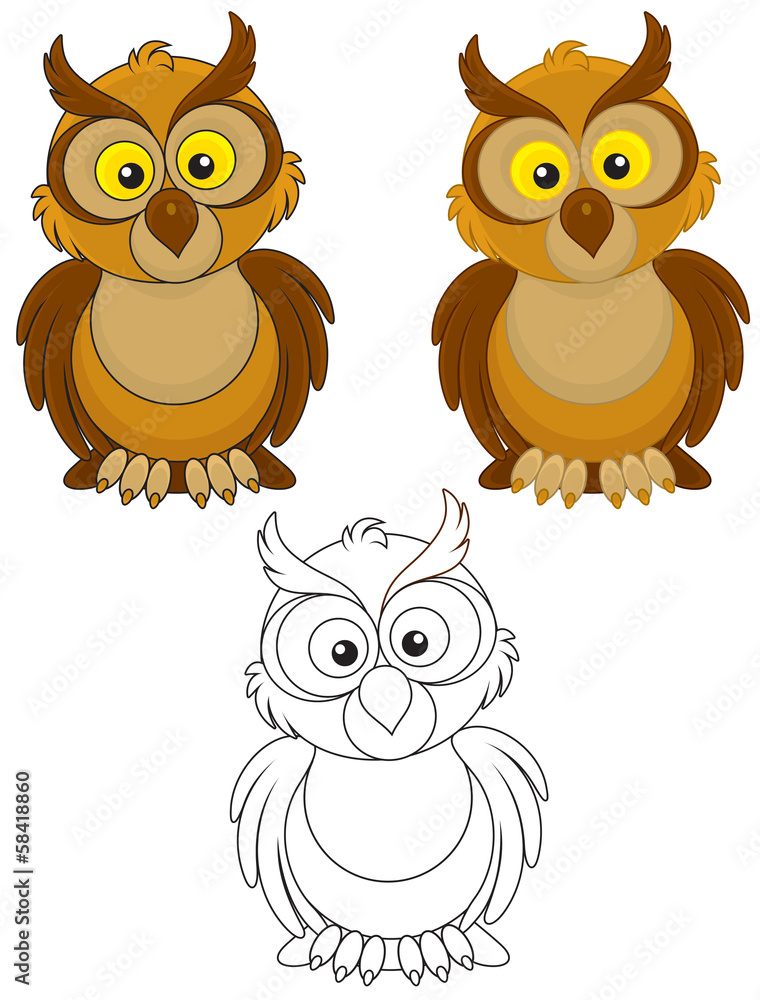 Obraz premium Owl
