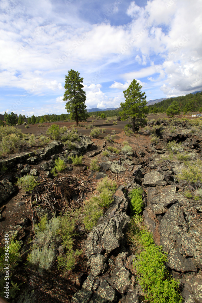 volcan Sunset crater