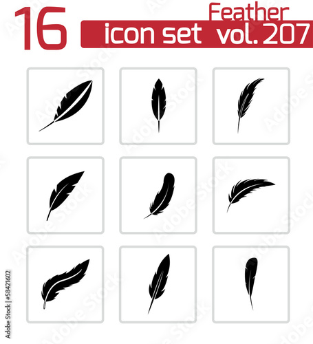 Vector black feather icons set