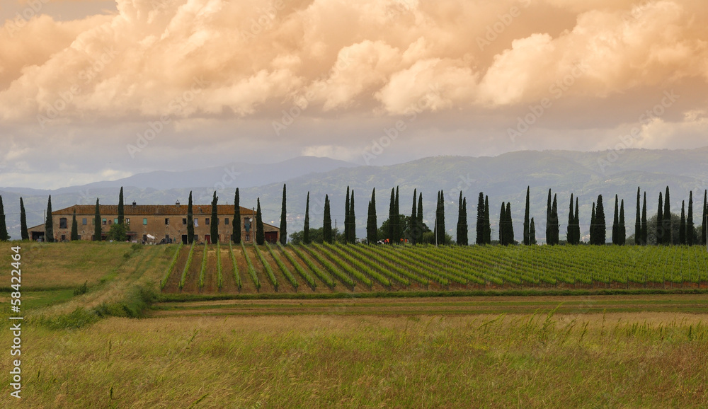 Obraz premium Paesaggio Toscano