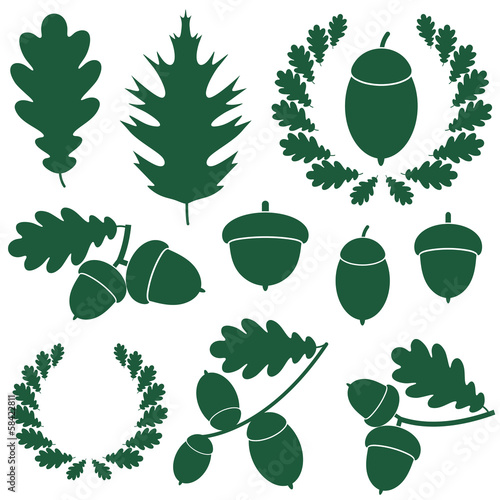 Oak