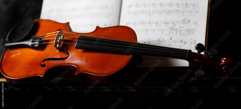 Violoncello Violoncello