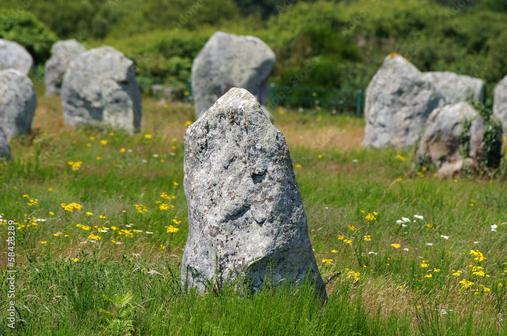 Alignement de Menhirs de Carnac