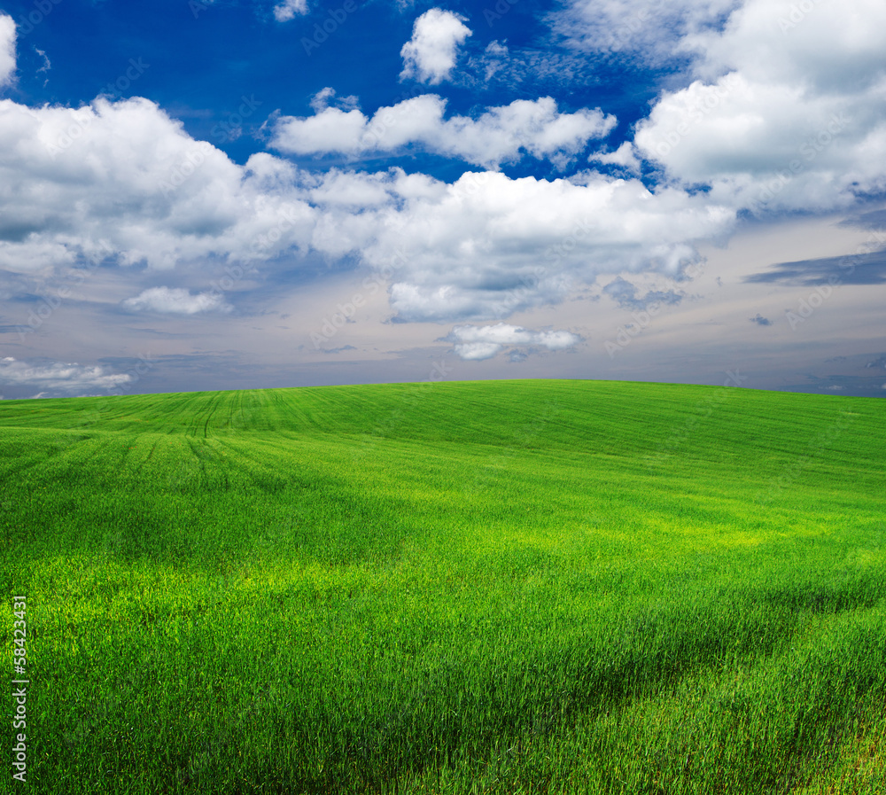 field field