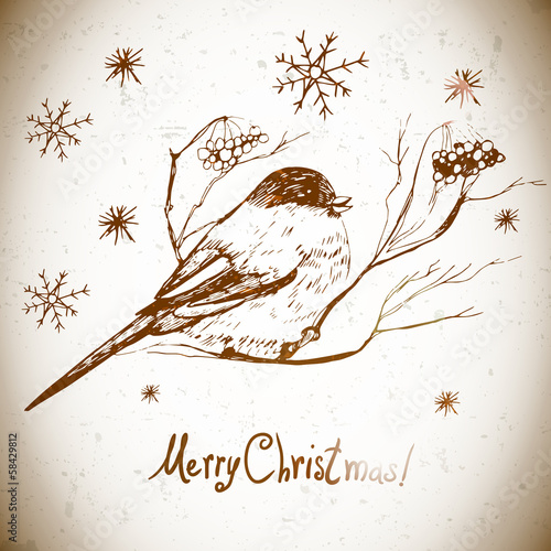 Vector greeting card with bullfinches