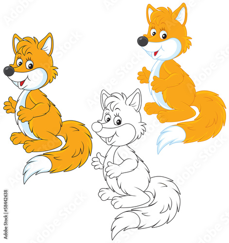 Fox