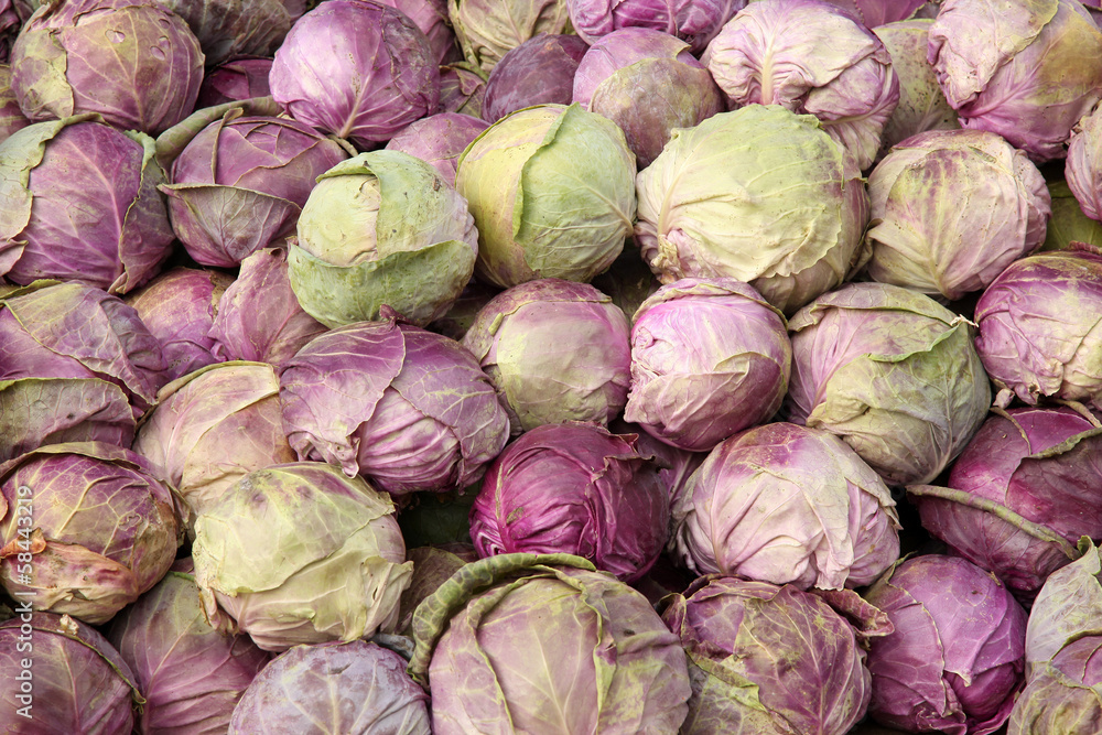 Purple cabbage pile full frame Purple cabbage pile full frame