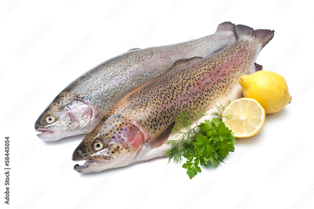 Rainbow trout with fresh herbs isolated on white background Rainbow trout with fresh herbs isolated on white background