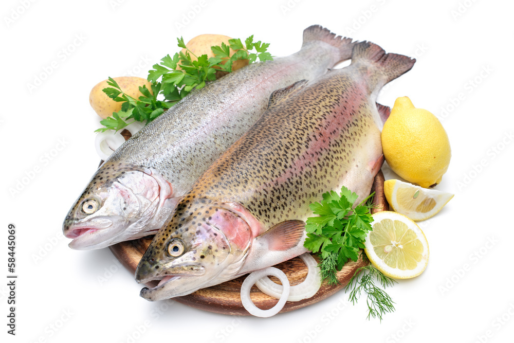 Rainbow trout with fresh herbs isolated on white background Rainbow trout with fresh herbs isolated on white background