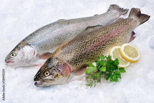 Obraz na płótnie Rainbow trout  on ice