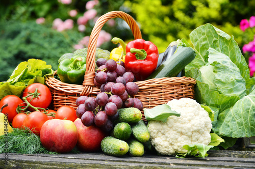 Fototapeta Naklejka Na Ścianę i Meble -  Fresh organic vegetables in wicker basket in the garden