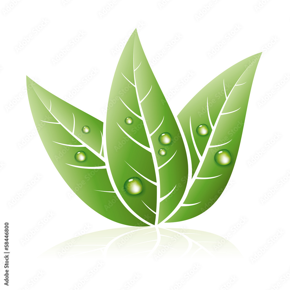 vector eco symbol of green grass leaves vector eco symbol of green grass leaves