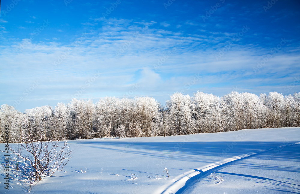 Fototapeta premium winter rural landscape