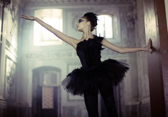 Sierkussen Foto van de dag Zwarte zwaan ballerina in beweging  © konradbak
