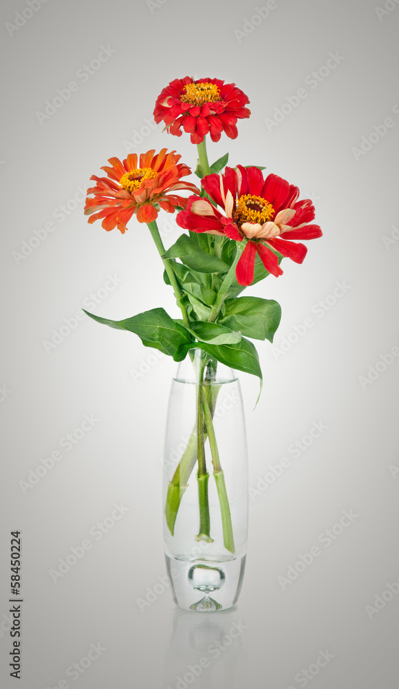 Fototapeta premium Bouquet from red daisy-gerbera in glass vase