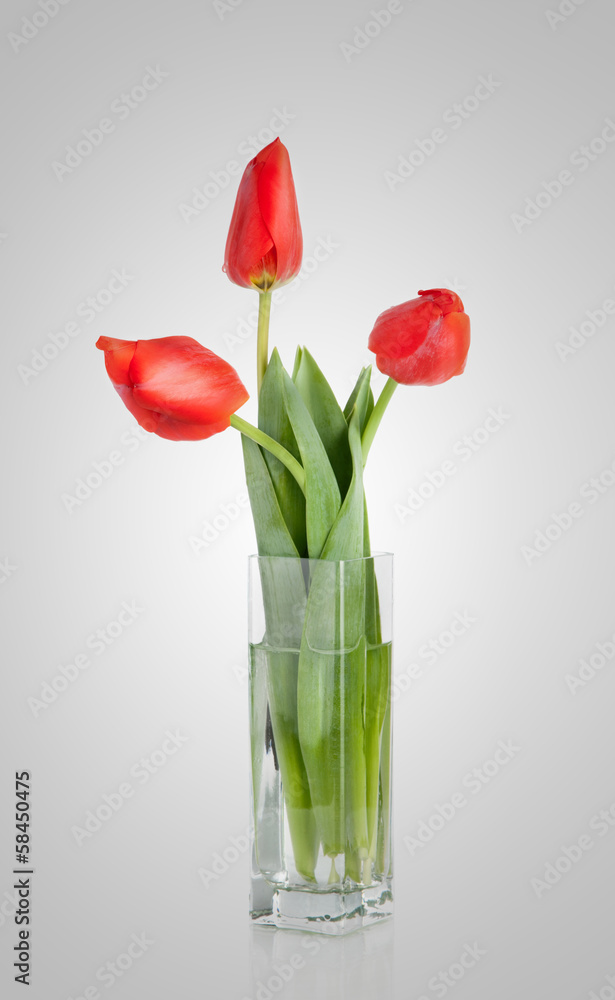Bunch of Red Tulips Bunch of Red Tulips