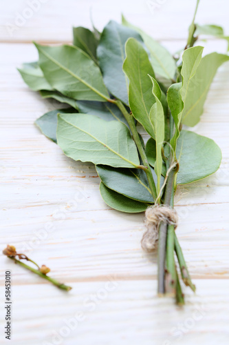 Dry laurel twigs tied with rope