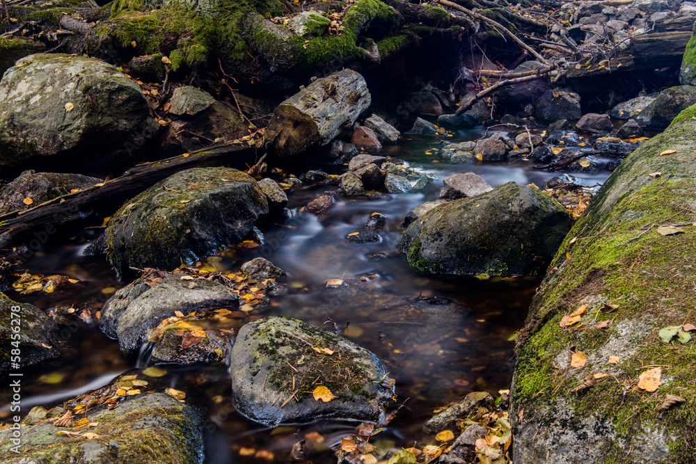 Autumn creak with leavs and slow water Autumn creak with leavs and slow water