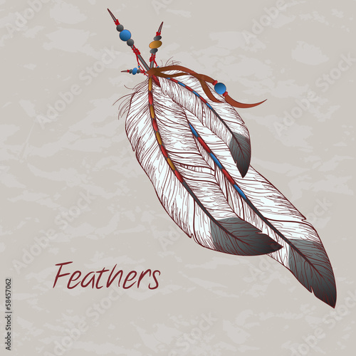 Vector colorful illustration of feathers