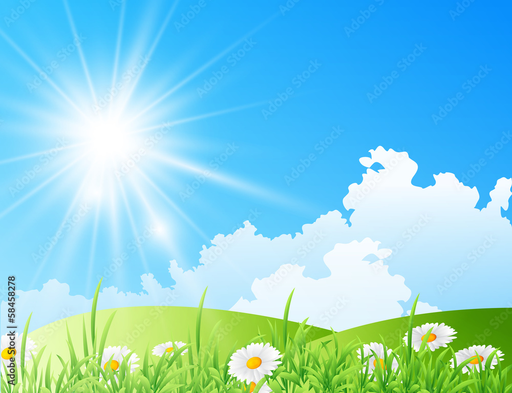 Fototapeta premium field of daisies with bright sun