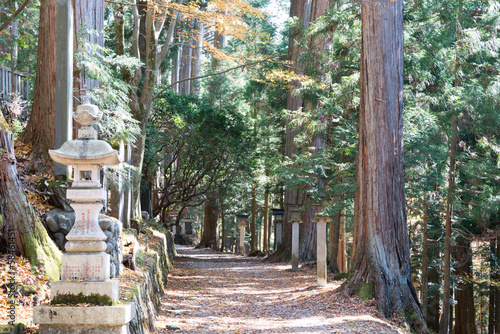 Fotografie Approach road to Mitsumine Shrine,chichibu,Saitama,Japan