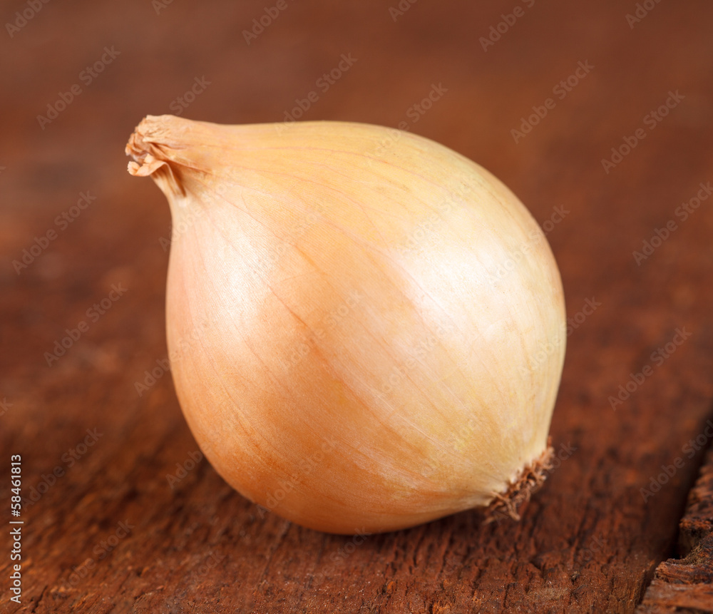Fototapeta premium fresh onion