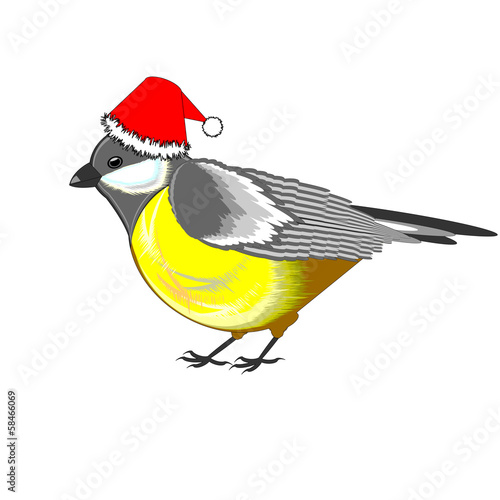 A cute Christmas titmouse isolated on a white background