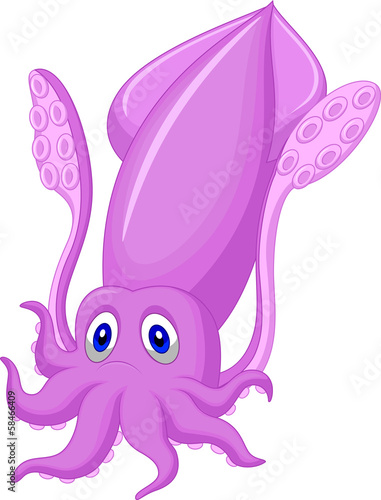 Cute squid cartoon
