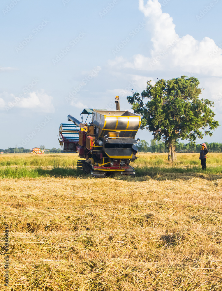 Obraz premium Harvest vehicle