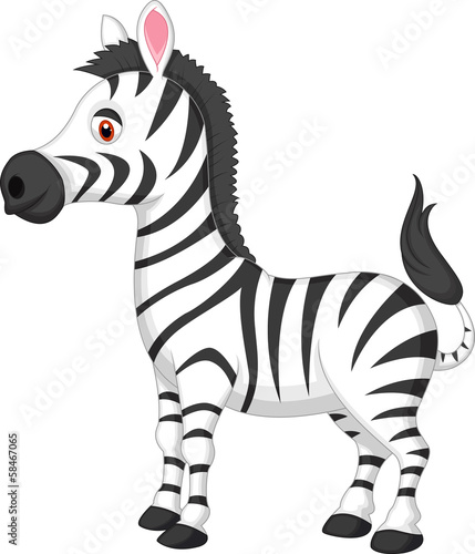 Cute zebra cartoon