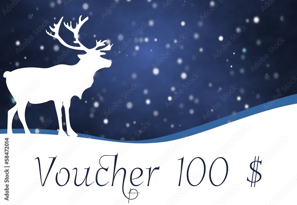 voucher voucher