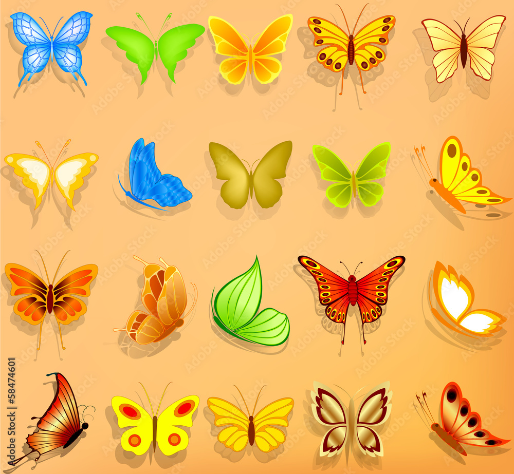 Set of realistic vector butterflies