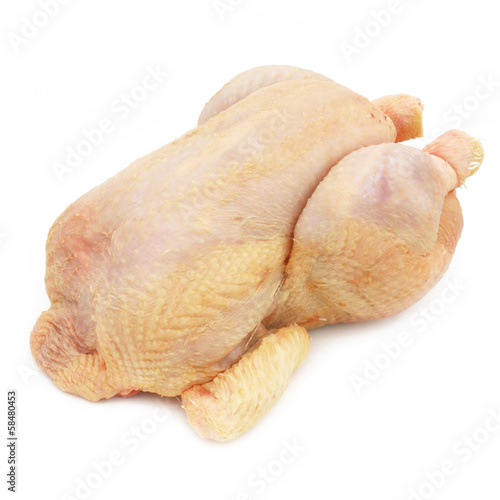 Fresh chicken - fresh hen