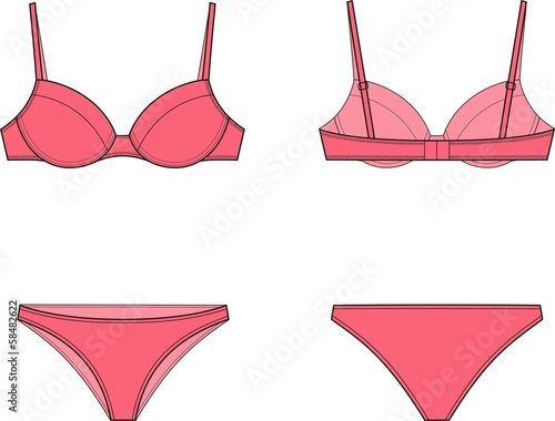 Vector illustration of women's underwear. Bra and panties