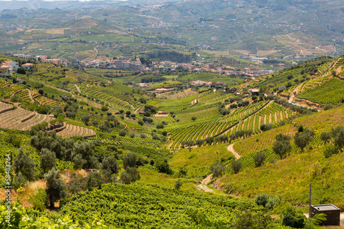 Portugal, vallée du Douro