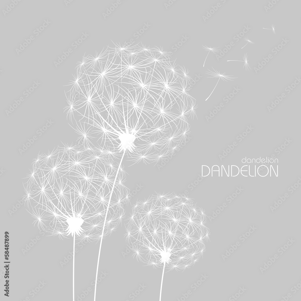 Abstract background with  flower dandelion - obrazy, fototapety, plakaty 