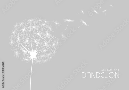 Abstract background with  flower dandelion