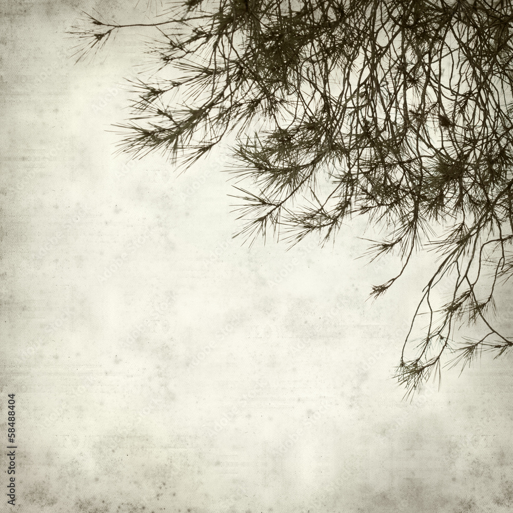 Obraz premium textured old paper background