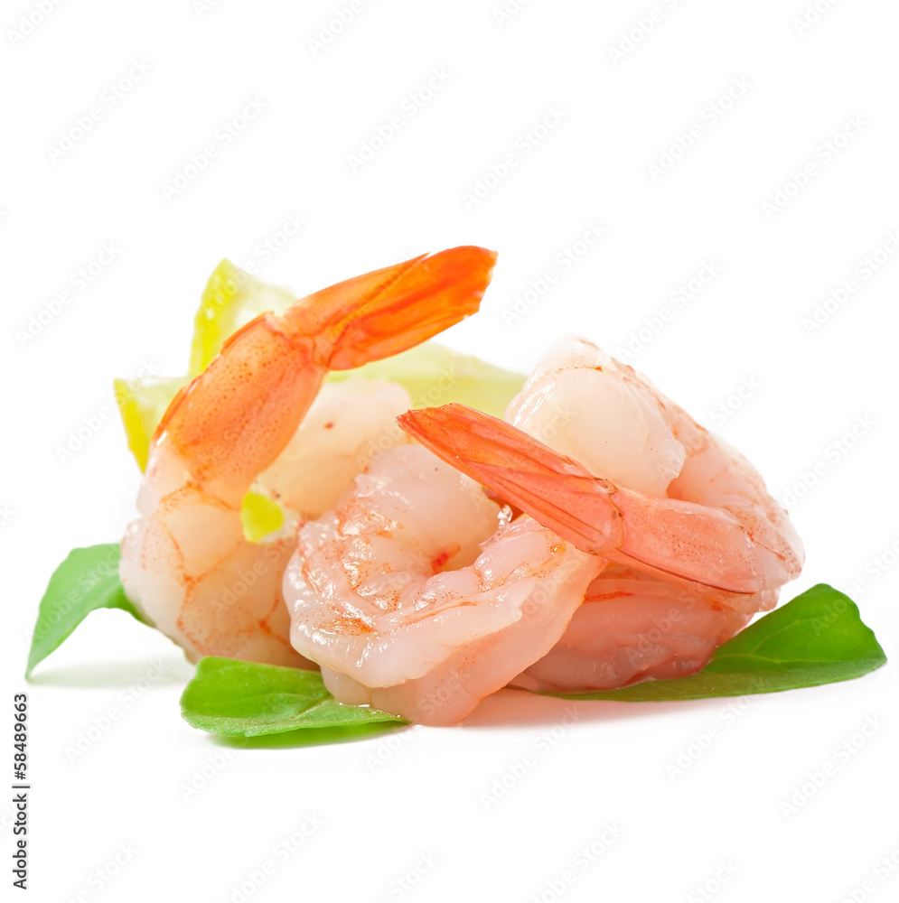tail of shrimp with fresh lemon and rosemary on the white tail of shrimp with fresh lemon and rosemary on the white