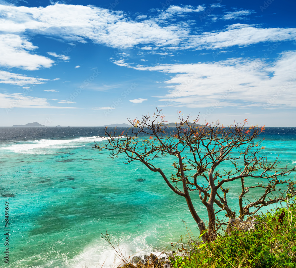 White sand beach. Malcapuya island, Philippines White sand beach. Malcapuya island, Philippines