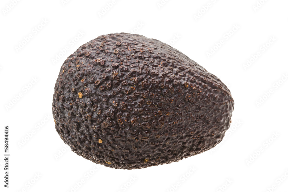 Avocado Avocado