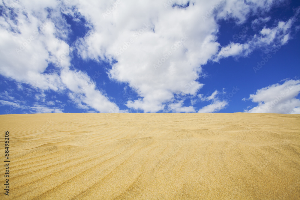 Fototapeta premium sand dunes
