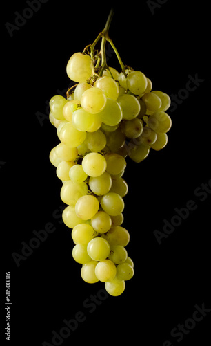 Bunch of white grapes